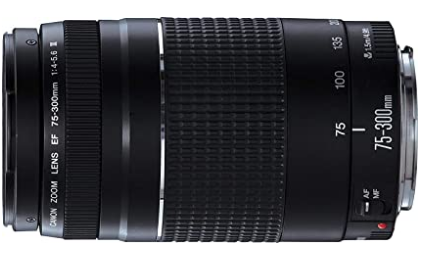 Canon EF 75-300mm f/4-5.6 III Telephoto Zoom Lens